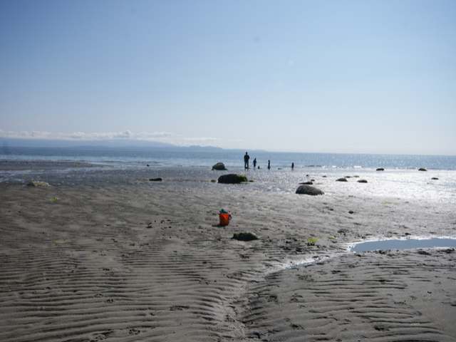 Island Hwy Qualicum Bc Island Hwy Qualicum Bc